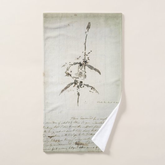 Plesiosaurus dolichodeirus handdoek (Handdoek)