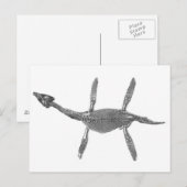 Plesiosaurus Skeleton Antiek afdrukken Briefkaart (Voorkant / Achterkant)