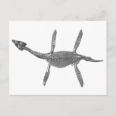 Plesiosaurus Skeleton Antiek afdrukken Briefkaart (Voorkant)