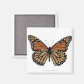Plexippus Danaus Butterfly Magneet (Voorkant / Achterkant)