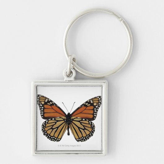 Plexippus Danaus Butterfly Sleutelhanger (Voorkant)