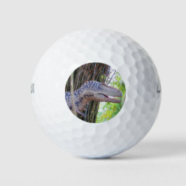 Plezier Dinosaurus - Daspletosaur Golfballen