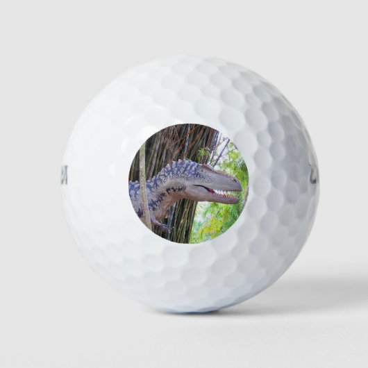 Plezier Dinosaurus - Daspletosaur Golfballen (Voorkant)