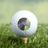 Plezier Dinosaurus - Daspletosaur Golfballen (Insitu Shirt)