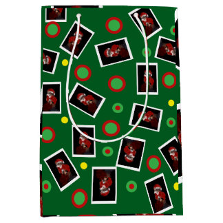 Plezier Kerstman Kat Tabby Huisdier Maureen Girard Medium Cadeauzakje