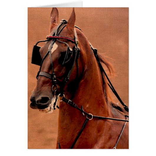 Plezier Tuig Saddlebred Digitale Kunst (Voorkant)
