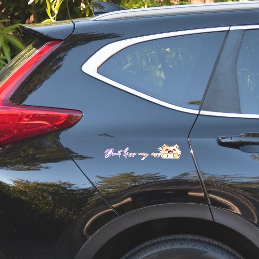 Plezierige frase1 sticker (Auto Zijkant)