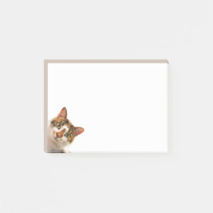 Plezierige kat kitten kijkt naar jou Schattig dier Post-it® Notes