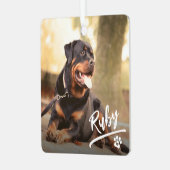 Plezierige Letter Pet Foto Kerstmis Metalen Ornament (Voorkant links)