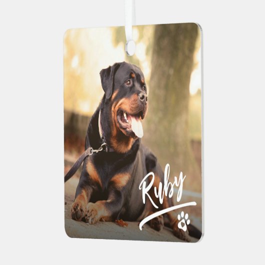 Plezierige Letter Pet Foto Kerstmis Metalen Ornament (Voorkant links)