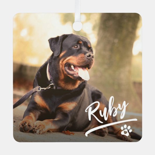 Plezierige Letter Pet Foto Kerstmis Metalen Ornament (Voorkant)