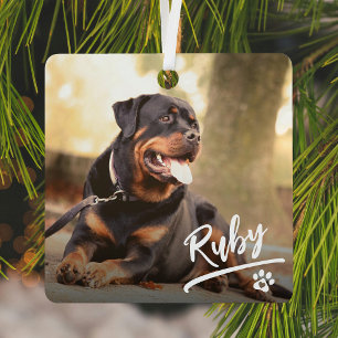 Plezierlijke Letter Pet Foto Kerstmis Metalen Ornament