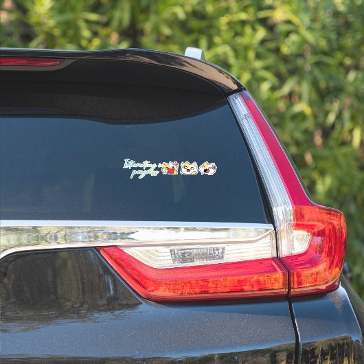 Pleziertekst3 Sticker (Auto Zijkant)