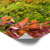 Plitandermeren in Kroatië Poster (Hoek)