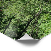 Plitvice Lakes Croatia Perfect Poster (Hoek)