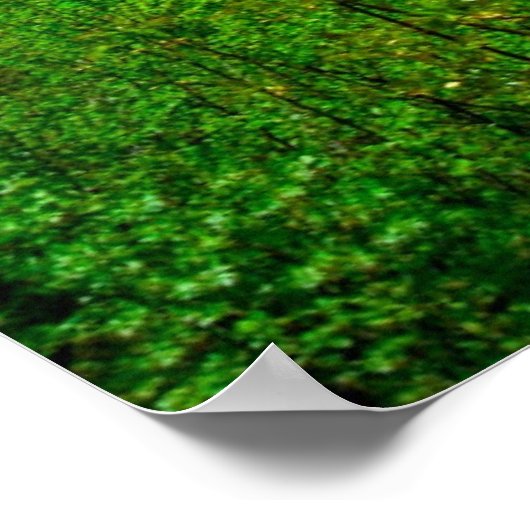 Plitvice Lakes Poster (Hoek)