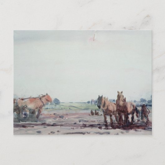 Ploedpaarden Briefkaart (Voorkant)