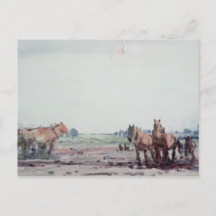 Ploedpaarden Briefkaart