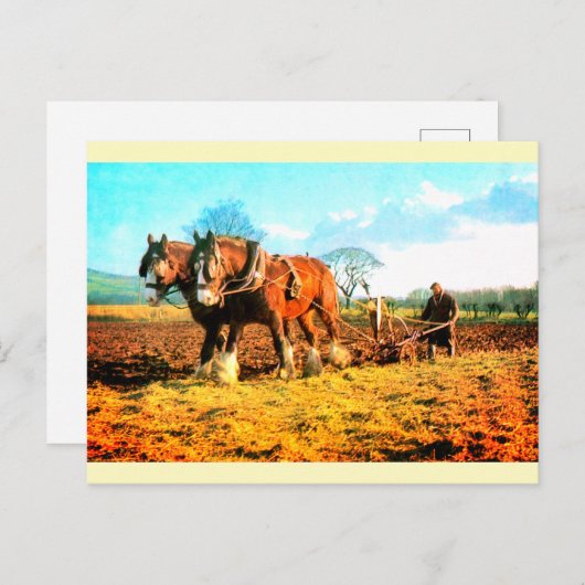  ploegen briefkaart (Voorkant / Achterkant)