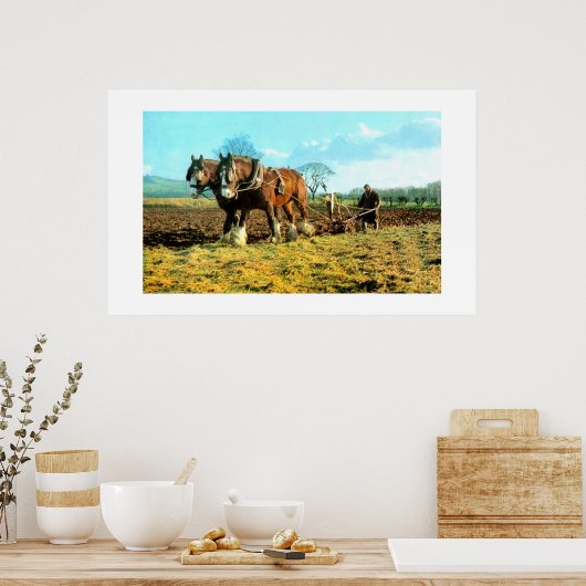 ploegen poster (Keuken)