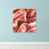 Plooien van het menselijke blaasepitheel canvas afdruk (Insitu (Houten vloer))