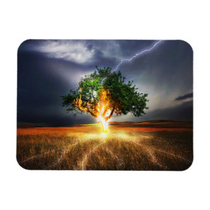 PLOTSELING-845848 DE BOOM BACKGRO VAN DE STAKING MAGNEET