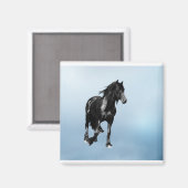 Plotseling draaien magneet (Voorkant / Achterkant)