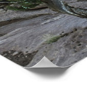 Plotselinge dood poster (Hoek)