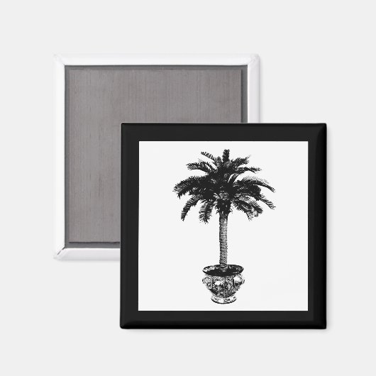 Plotselinge palmboom - zwart-wit magneet (Voorkant / Achterkant)