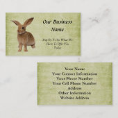 Plotselinge stolling-diskette Bunny- Biz-Kaart Visitekaartje (Voorkant / Achterkant)