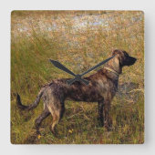 Plott Hond Hunting Dog Wall klok (Voorkant)