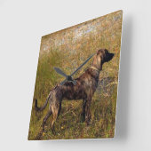 Plott Hond Hunting Dog Wall klok (Hoek)