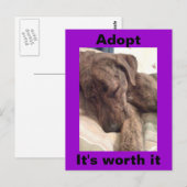 Plott Hound Briefkaart (Voorkant / Achterkant)