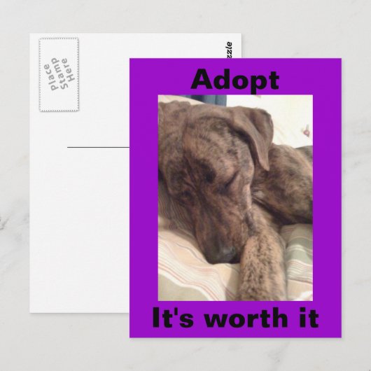 Plott Hound Briefkaart (Voorkant / Achterkant)