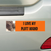 Plott Hound Bumpersticker (Op auto)