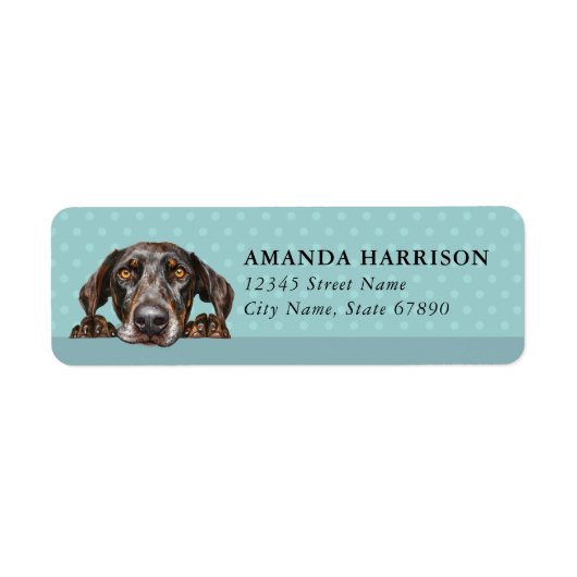 Plott Hound Hond Retour Adres Labels (Voorkant)