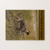 Plott Hound in Everglades Florida Jigzaag Puzzle Legpuzzel (Horizontaal)