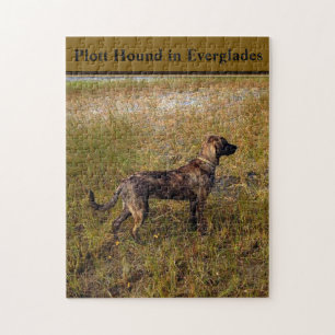 Plott Hound in Everglades Florida Jigzaag Puzzle Legpuzzel