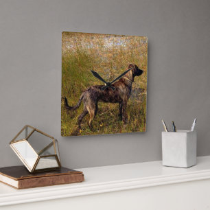 Plott Hound Jachthond Wandklok