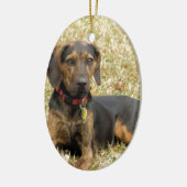 Plott Hound Keramisch Ornament (Links)