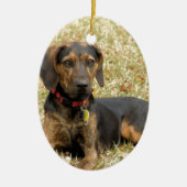 Plott Hound Keramisch Ornament (Voorkant)