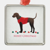 Plott Hound Kerstmis Metalen Ornament (Voorkant)
