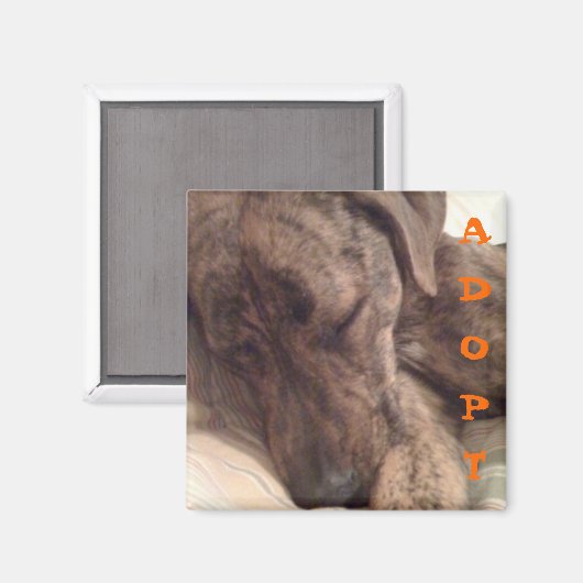 Plott Hound Magnet (Voorkant / Achterkant)
