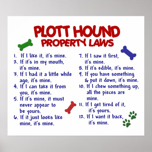 PLOTT HOUND PL2 POSTER (Voorkant)