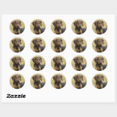 Plott Hound Ronde Sticker (Vel)