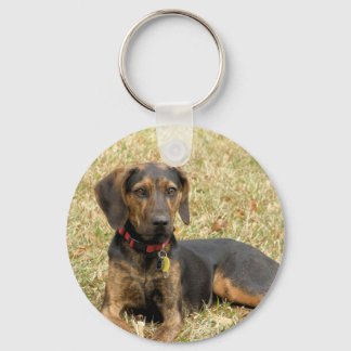 Plott Hound Sleutelhanger