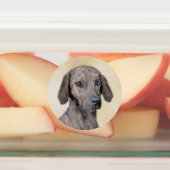 Plott Painting - Cute Original Dog Art Labels (Aangebracht)