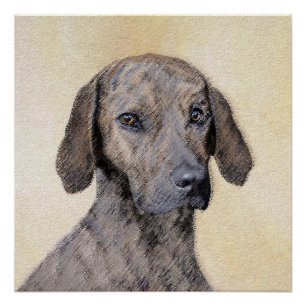 Plott Painting - Cute Original Dog Art Perfect Poster