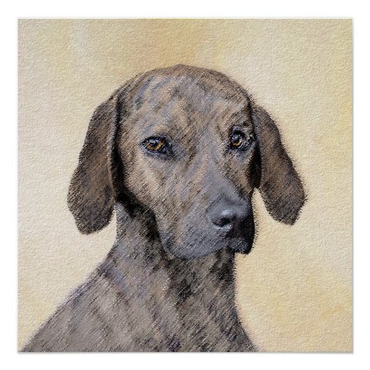 Plott Painting - Cute Original Dog Art Perfect Poster (Voorkant)