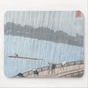 Plotte douche over Shin-Ohashi Bridge en Muismat